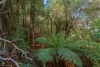 Address available on request, Dover, Tas 7117-Image