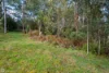 Address available on request, Dover, Tas 7117-Image