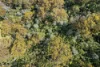 Address available on request, Dover, Tas 7117-Image