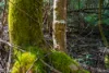 Address available on request, Dover, Tas 7117-Image