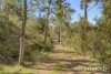Address available on request, Judbury, Tas 7109-Image