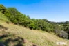 Address available on request, Maroochy River, Qld 4561-Image