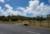 Address available on request, Sarina, Qld 4737