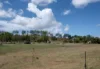 Address available on request, Sarina, Qld 4737-Image