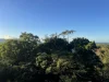 Address available on request, Stratford, Qld 4870-Image