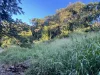 Address available on request, Stratford, Qld 4870-Image