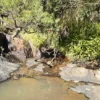 Address available on request, Witheren, Qld 4275-Image