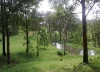 Address available on request, Witheren, Qld 4275-Image