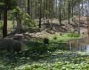 Address available on request, Witheren, Qld 4275-Image