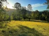 Address available on request, Witheren, Qld 4275-Image