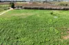 Allotment 25, 4 Tooravale Road, Monash, SA 5342-Image