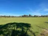 Allotment 4 Jaensch Road, Callington, SA 5254-Image