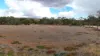 Allotment 94, 99, 31 Bowman St, Redhill, SA 5521-Image