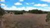 Allotment 94, 99, 31 Bowman St, Redhill, SA 5521-Image