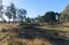 Avenue Road, Parkham, Tas 7304-Image