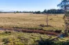 Avenue Road, Parkham, Tas 7304-Image