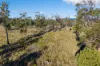 Avenue Road, Parkham, Tas 7304-Image
