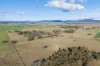 Avenue Road, Parkham, Tas 7304-Image