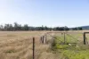 Avenue Road, Parkham, Tas 7304-Image