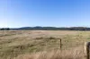 Avenue Road, Parkham, Tas 7304-Image