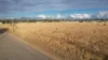 Basset Lane, Roma, Qld 4455-Image