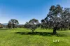 Battery Hill Estate, Mansfield, Vic 3722-Image