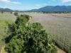 Broderick Road, Midgenoo, Qld 4854-Image