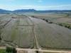 Broderick Road, Midgenoo, Qld 4854-Image