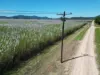 Broderick Road, Midgenoo, Qld 4854-Image