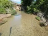 Broderick Road, Midgenoo, Qld 4854-Image