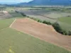 Broderick Road, Midgenoo, Qld 4854-Image