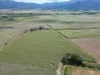 Broderick Road, Midgenoo, Qld 4854-Image