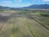 Broderick Road, Midgenoo, Qld 4854-Image