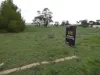 Brook St, Woomelang, Vic 3485