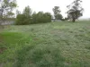 Brook St, Woomelang, Vic 3485-Image