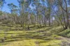 CA 42  Diamond Gully  Road, Campbells Creek, Vic 3451-Image