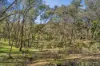 CA 42  Diamond Gully  Road, Campbells Creek, Vic 3451-Image
