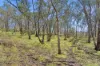 CA 42  Diamond Gully  Road, Campbells Creek, Vic 3451-Image