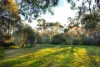 CA 5, Part Maldon-Newstead Road, Welshmans Reef, Vic 3462