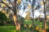 CA 5, Part Maldon-Newstead Road, Welshmans Reef, Vic 3462-Image