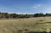 CA A14 Glenelg Highway, Linton, Vic 3360-Image