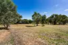 CA3, 69A Lyons Street, Newstead, Vic 3462-Image