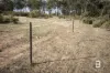 CA4 SEC 6  Maryborough Dunolly Road, Havelock, Vic 3465-Image