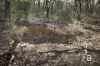CA4 SEC 6  Maryborough Dunolly Road, Havelock, Vic 3465-Image