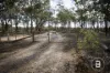 CA4 SEC 6  Maryborough Dunolly Road, Havelock, Vic 3465-Image