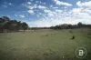 CA4 SEC 6  Maryborough Dunolly Road, Havelock, Vic 3465-Image