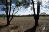 CA4 SEC 6  Maryborough Dunolly Road, Havelock, Vic 3465-Image