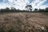 CA4 SEC 6  Maryborough Dunolly Road, Havelock, Vic 3465-Image