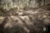 CA4 SEC 6  Maryborough Dunolly Road, Havelock, Vic 3465-Image