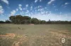 CA4 SEC 6  Maryborough Dunolly Road, Havelock, Vic 3465-Image
